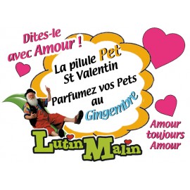 La Pilule Pet du St Valentin au gingembre